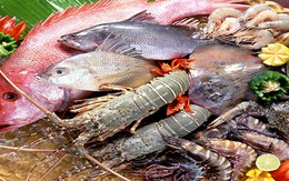 Thủy hải sản ở Cà Mau rớt giá