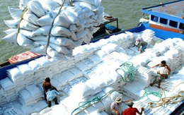 Xuất khẩu gạo: Thái Lan bỏ xa Việt Nam