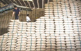 Vụ 2,9 triệu tấn gạo Thái ‘mất tích’: Nghi án đánh tráo gạo tốt bằng gạo kém chất lượng