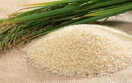 Doanh nghiệp dửng dưng khi gạo Việt sắp bị kiện?