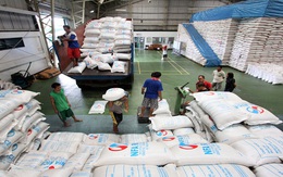 Giá gạo Philippines cao ngất ngưởng