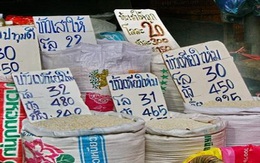 Gạo Việt tăng giá cao kỷ lục, "mắc bẫy" Thái Lan?