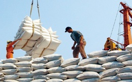 Hướng đến thị trường gạo xuất khẩu chất lượng cao
