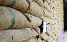 Thái Lan có thể mất 2,24 tỷ USD vì gạo lưu trữ bị hỏng
