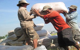 Trung Quốc vẫn nhập khẩu gạo tiểu ngạch từ Việt Nam