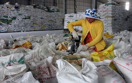 Sri Lanka đề nghị nhập khẩu 15.000 tấn gạo từ Việt Nam