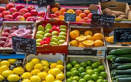 Nga chặn nhiều lô hàng rau quả châu Âu buôn lậu qua biên giới