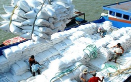 Tăng cường quản lý xuất khẩu gạo