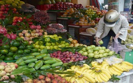 Trái cây Thái Lan “tung hoành” chợ Việt: Sắp “mất bò”, nhanh “lo làm chuồng”
