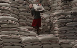 Philippines bắt giữ hơn 1.000 tấn gạo nhập lậu