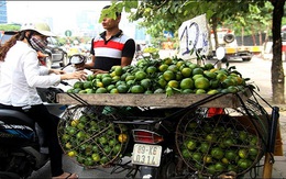 Cam Trung Quốc “nhái” cam Việt Nam tràn ngập thị trường