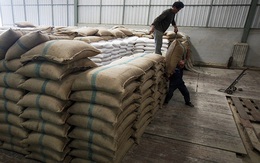 Thái Lan đặt mục tiêu xuất khẩu 1 triệu tấn gạo liên Chính phủ trong quý 4