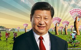 Cải cách ở Trung Quốc: "Canh bạc" ruộng đất