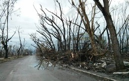 2 tuần sau thảm họa, "thành phố chết" Tacloban vẫn ngổn ngang
