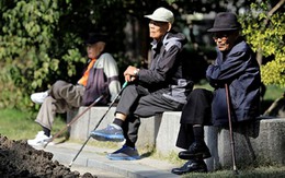 Bi kịch của người già Hàn Quốc