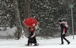 “Bão băng gây tê liệt” hoành hành ở nước Mỹ