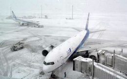 Mỹ, Nhật khốn đốn vì bão tuyết bất thường