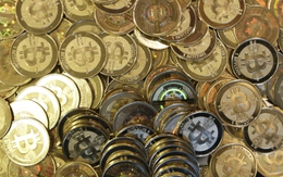 Bitcoin tăng giá 20%