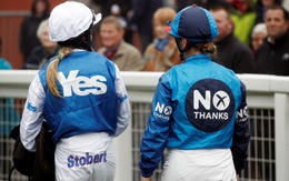9 điều người Scotland phải chọn 