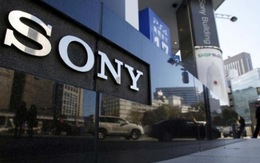 Thua lỗ kỷ lục, cổ phiếu Sony "lao dốc không phanh"