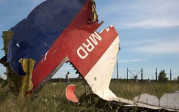 Gia đình nạn nhân Đức trên máy bay MH17 kiện Ukraine