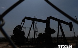 IMF cảnh báo nguy cơ với các nước vùng Vịnh nếu giá dầu xuống thấp