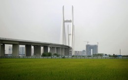 Cầu triệu đô Trung Quốc – Triều Tiên phủ bụi