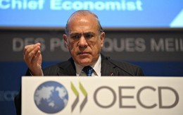 OECD: Khoảng cách giàu-nghèo cao nhất trong vòng 30 năm qua