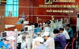 Sắp có kết luận thanh tra tại Agribank