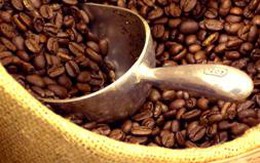 Cà phê robusta có quý II biến động xấu nhất 4 năm