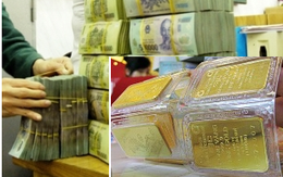 Đấu thầu vàng mang về hơn 6.000 tỉ đồng cho NHNN
