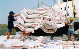 Tạm trữ lúa gạo và vấn đề đầu ra cho doanh nghiệp