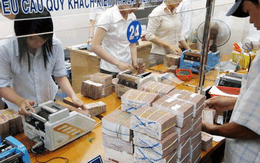 Quyết định 48/2013/QĐ-TTg sẽ đẩy nhanh tiến độ xử lý nợ xấu