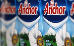 Thêm bê bối sữa New Zealand nhiễm nitrate