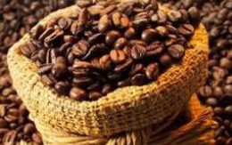 Nông dân găm hàng, giá cà phê xuất khẩu tăng mạnh