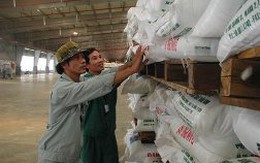 Việt Nam có thể chuyển từ nhập sang xuất khẩu phân bón