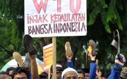 Thỏa thuận WTO tại Bali, indonesia: Có thể giúp các nước nghèo?