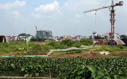Năm 2013, Hà Nội thu hồi gần 948ha đất sử dụng không hiệu quả