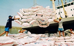 Thị trường xuất khẩu gạo 2014 vẫn chưa được định hình 