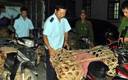 Tạm dừng nhập khẩu các sản phẩm gia cầm vào Việt Nam 