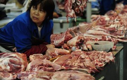 Trung Quốc mua tạm trữ thịt lợn hỗ trợ ngành chăn nuôi