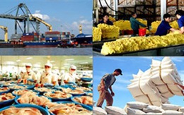 Thị phần hàng xuất khẩu của Việt Nam vào EU sẽ tăng vọt