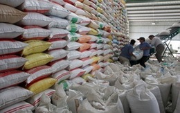 Philippines “soán ngôi” Trung Quốc về nhập gạo Việt Nam