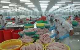 Đề nghị Bộ NN&PTNT “gỡ khó” cho DN xuất khẩu thủy sản