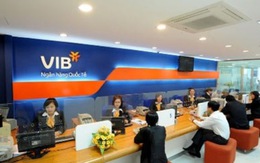 Ngân hàng Quốc Tế (VIB) tuyển dụng từ chuyên viên, quản lý tới giám đốc