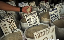 Gạo có đợt giảm giá hàng tuần lâu nhất kể từ năm 2008