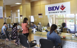 BIDV đạt lợi nhuận 2.500 tỷ đồng trong 5 tháng đầu năm