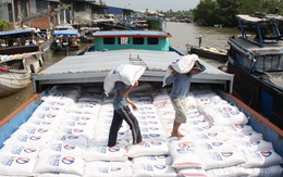 Philippines quyết định nhập thêm 200.000 tấn gạo của Việt Nam