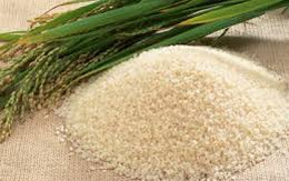 Xuất khẩu gạo Việt Nam "ghi bàn" nhờ giá thấp nhất