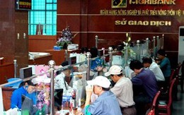 Bắt nguyên ủy viên Hội đồng Thành viên Agribank